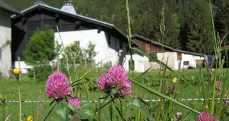 Gîte le Nouveau Grassonnet Gîte le Nouveau Grassonnet