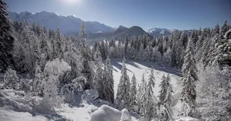 Lac Vert Lac Vert