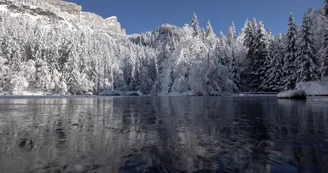 Lac Vert Lac Vert