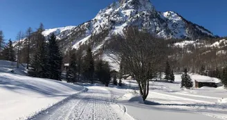 Chez Charles****｜Calme & Belle vue, Skis aux pieds - Piscine couverte - Viachamonix.com