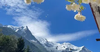 Chalet Hôtel la Sapinière