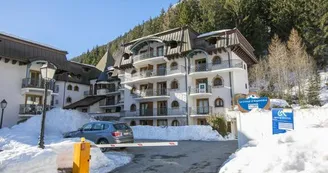 Cristal d'Argentière  Mont-Blanc 11