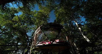 Nuit insolite en bulle