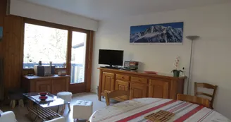 Appartement F Les Aiguilles du Brévent Appartement F Les Aiguilles du Brévent