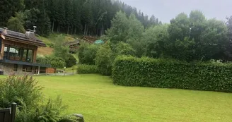 Appartement rez de jardin face au Mont Blanc