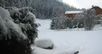 Appartement rez de jardin face au Mont Blanc