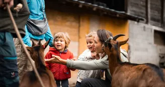 Mont-Blanc Fermes Péda