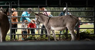 Mont-Blanc Fermes Péda