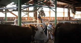 Mont-Blanc Fermes Péda