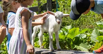 Mont-Blanc Fermes Péda