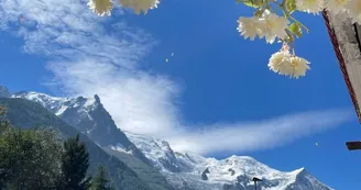 Chalet Hôtel la Sapinière