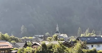 Marché aux fleurs et Petite brocante